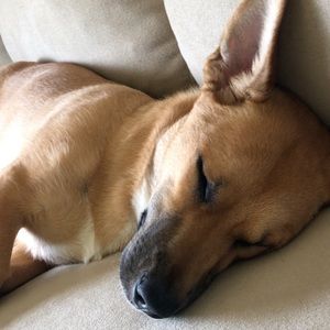 Meet your Posher, Tyler